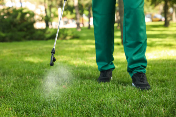 Best Pest Control for Homes  in Upland, PA