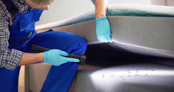 Reliable Upland, PA Pest Control Solutions