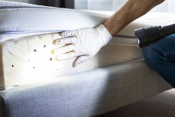 Reliable Upland, PA Pest Control Solutions