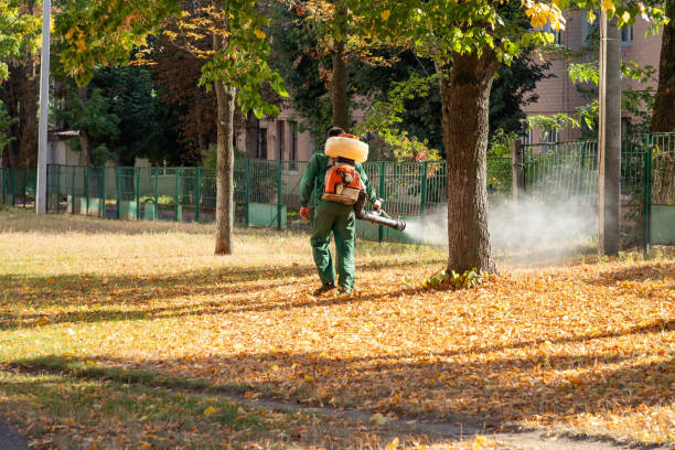 Best Best Pest Control Companies  in Upland, PA